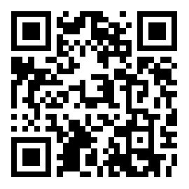 Flash Blink v5.5