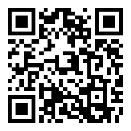 疯狂的飞行员 v1.02