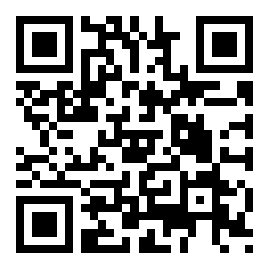 大江户之城汉化版 v1.0.9