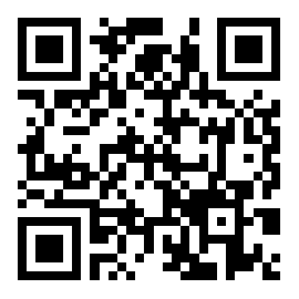 公子代刷赞快手app v