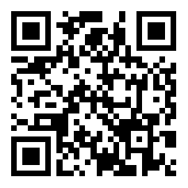  伪装虚拟来电 v