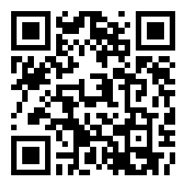  醉游汉化助手 v