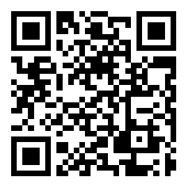 巡回检察组全集在线观看 v