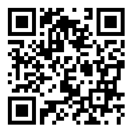  夜伴聊天平台 v