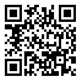 车必应 v4.3